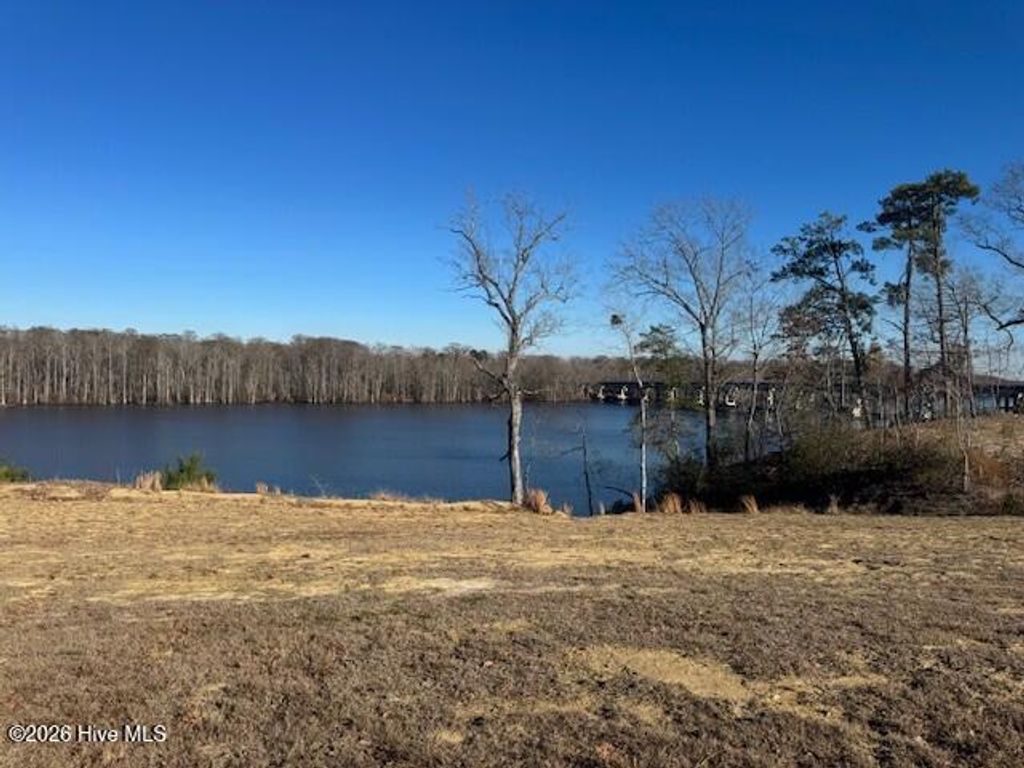 Photo of 122 River Bluff Drive, Winton, NC 27986 (MLS # 100548997)
