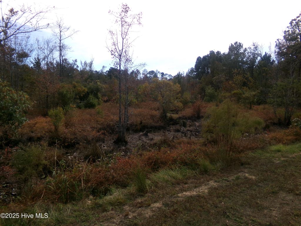 Photo of 44964 Big Island Road, White Oak, NC 28399 (MLS # 100570334)