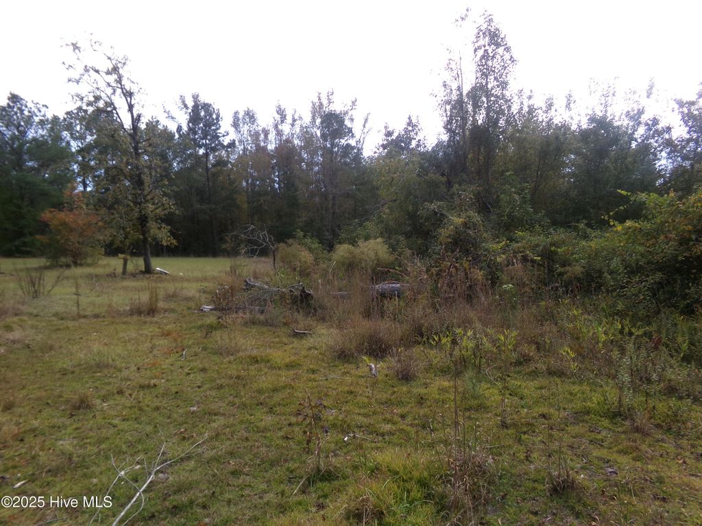Photo of 44964 Big Island Road, White Oak, NC 28399 (MLS # 100570334)
