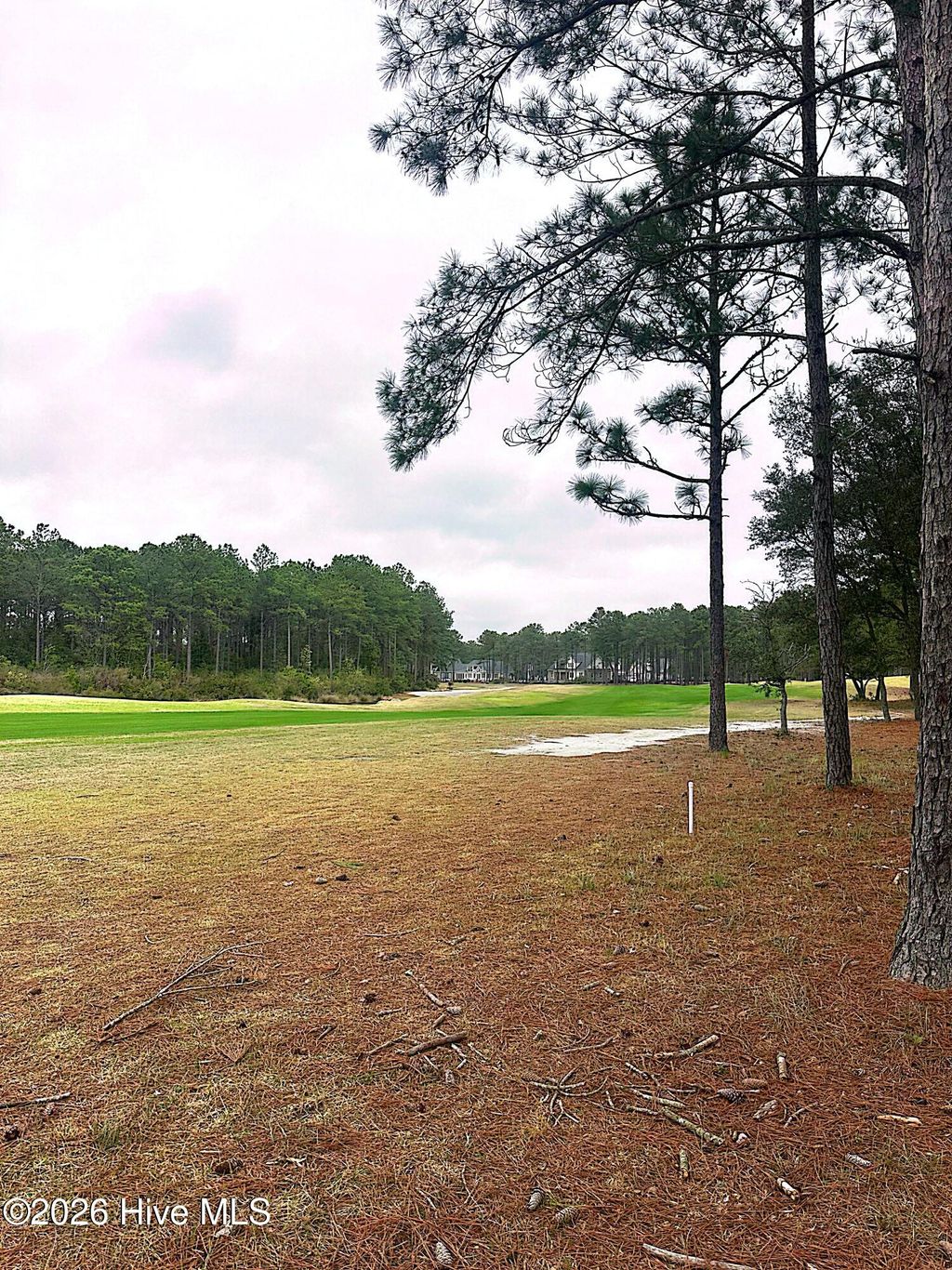 Photo of 6223 Castlebrook Way SW, Ocean Isle Beach, NC 28469 (MLS # 100560174)