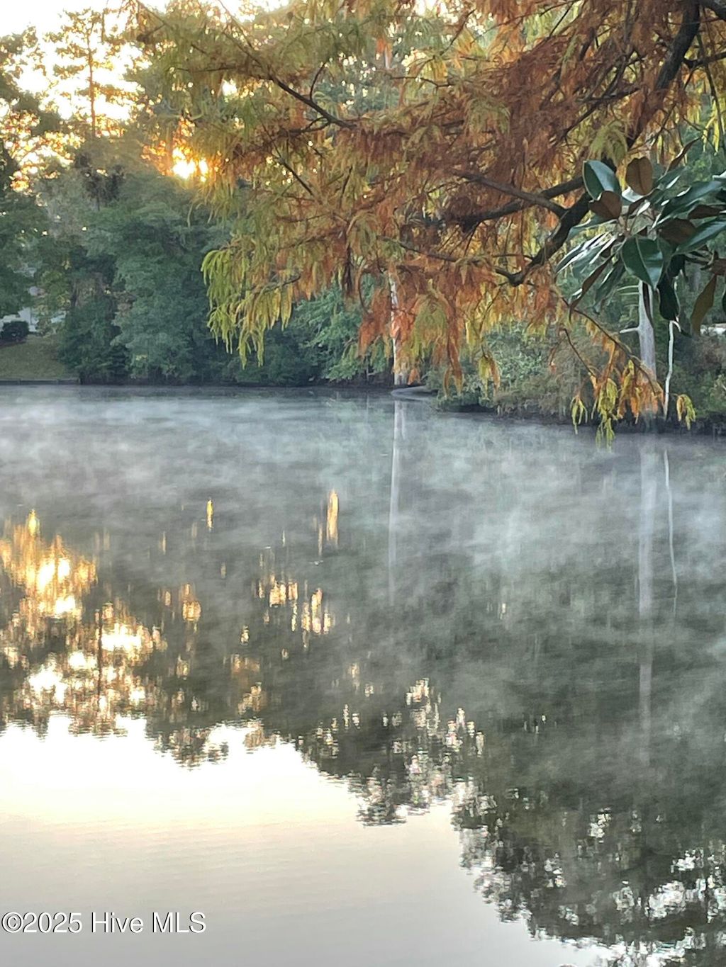 Photo of 302 W Wilson Creek Drive, Trent Woods, NC 28562 (MLS # 100546595)