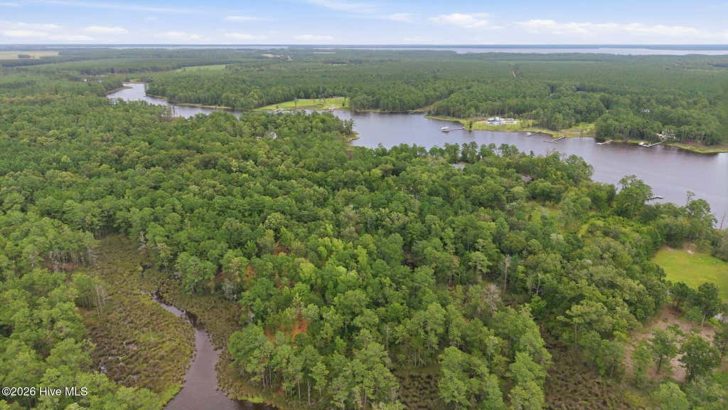 Photo of 52 Sunset Point Road, Belhaven, NC 27810 (MLS # 100594410)