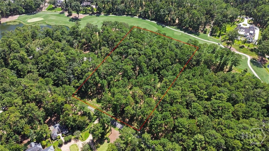 Photo of 388 Belted Kingfisher Lane, Richmond Hill, GA 31324 (MLS # SA362246)