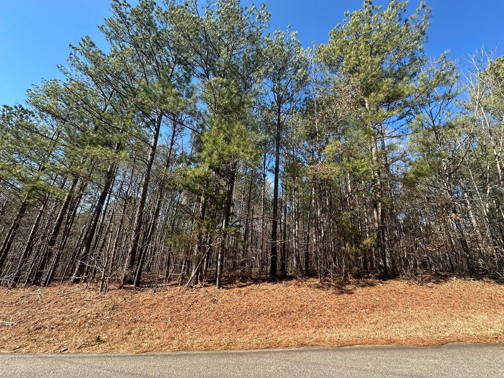 Photo of 31 Willow Way, Lincolnton, GA 30817 (MLS # 551924)