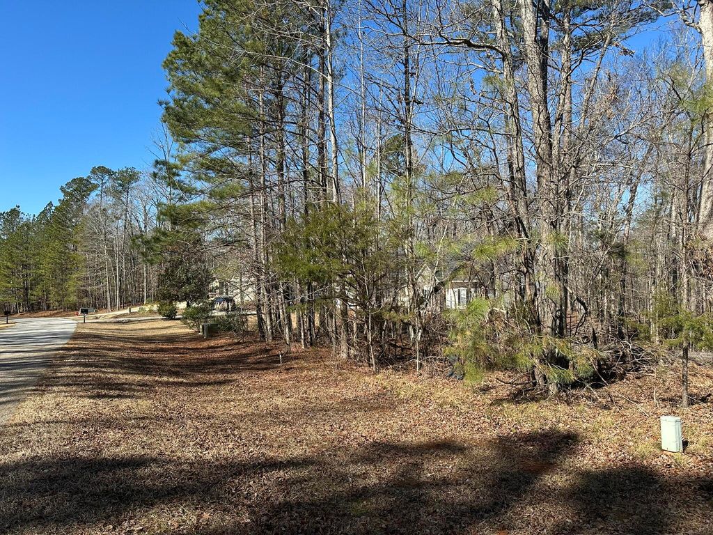 Photo of 31 Willow Way, Lincolnton, GA 30817 (MLS # 551924)