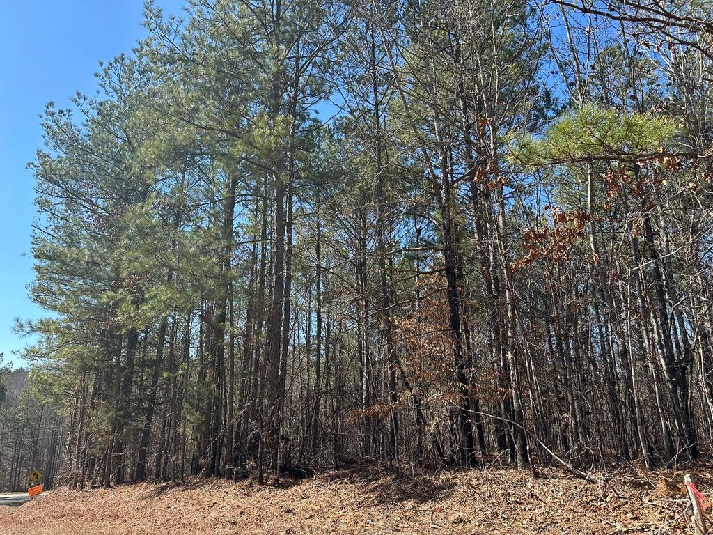 Photo of 31 Willow Way, Lincolnton, GA 30817 (MLS # 551924)