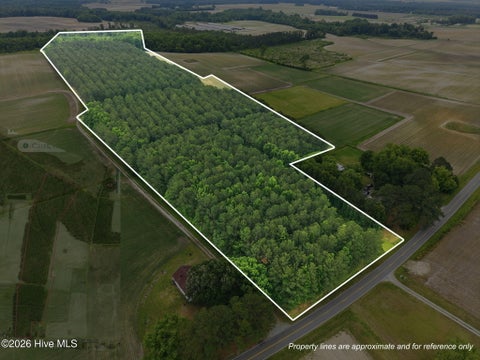 Vacant Land For Sale - Fire Tower Road<br/> Walstonburg, NC 27888