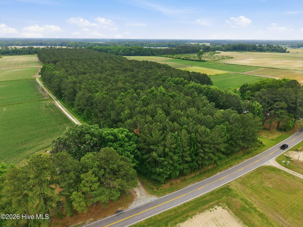 Photo of 0 Fire Tower Road, Walstonburg, NC 27888 (MLS # 100573820)