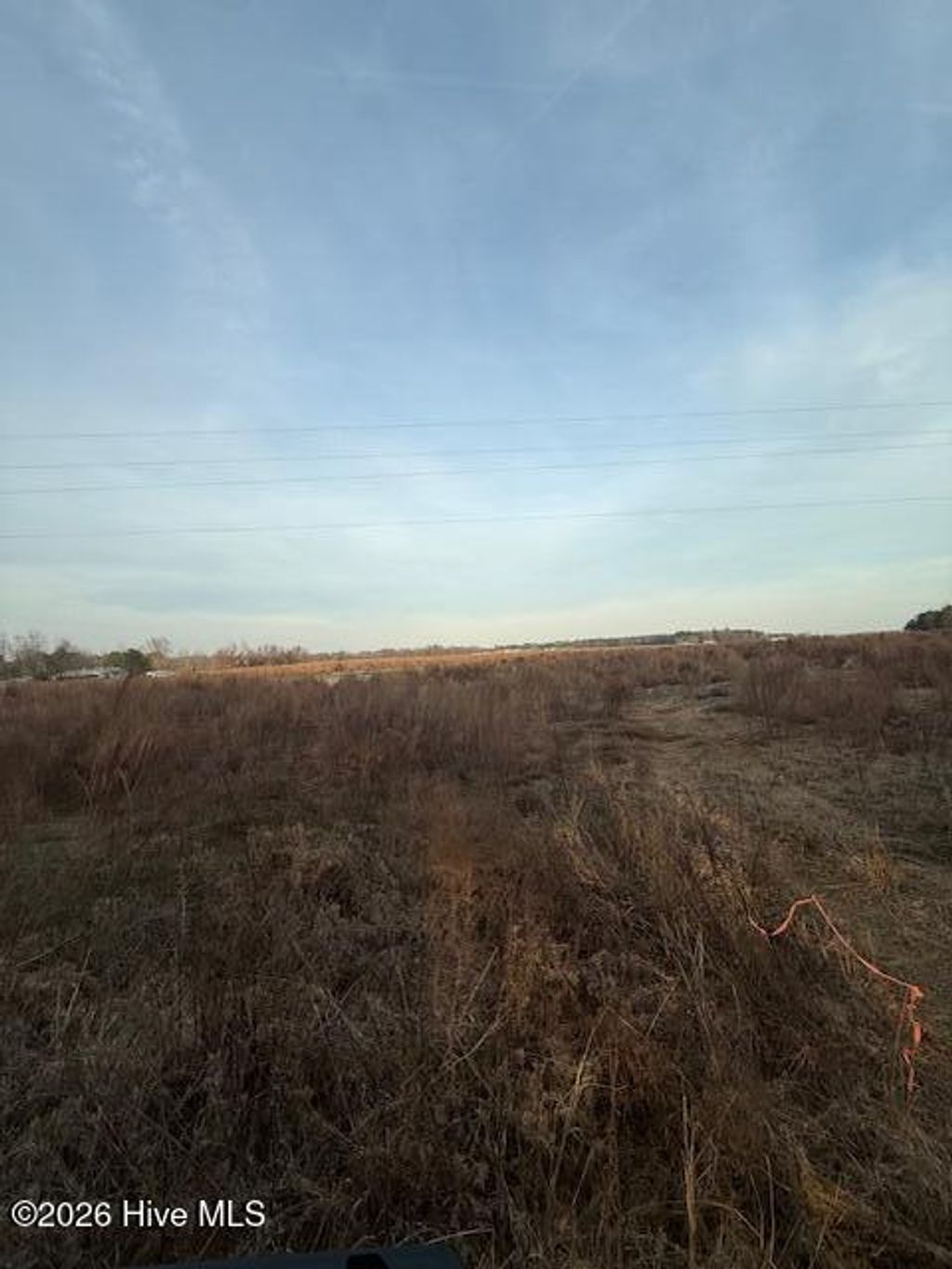 Photo of 294 Waller Road, Mount Olive, NC 28365 (MLS # 100558371)