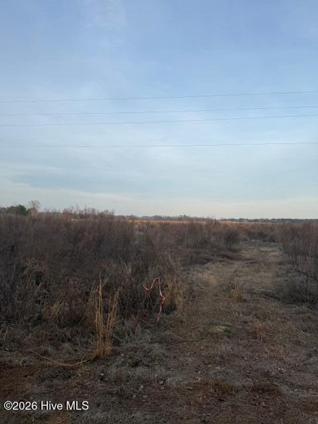 Photo of 294 Waller Road, Mount Olive, NC 28365 (MLS # 100558371)