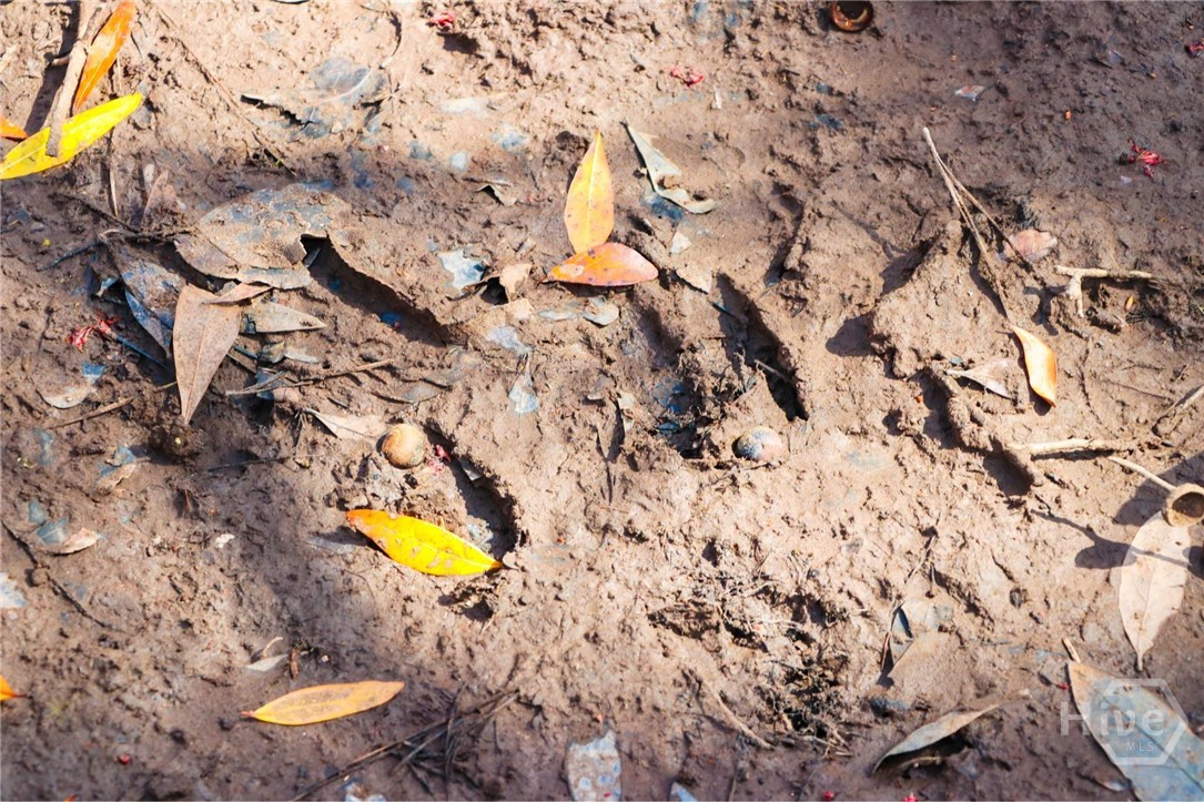 0 Tillman Eason Road