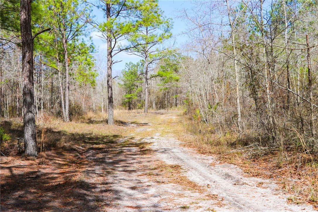 0 Tillman Eason Road