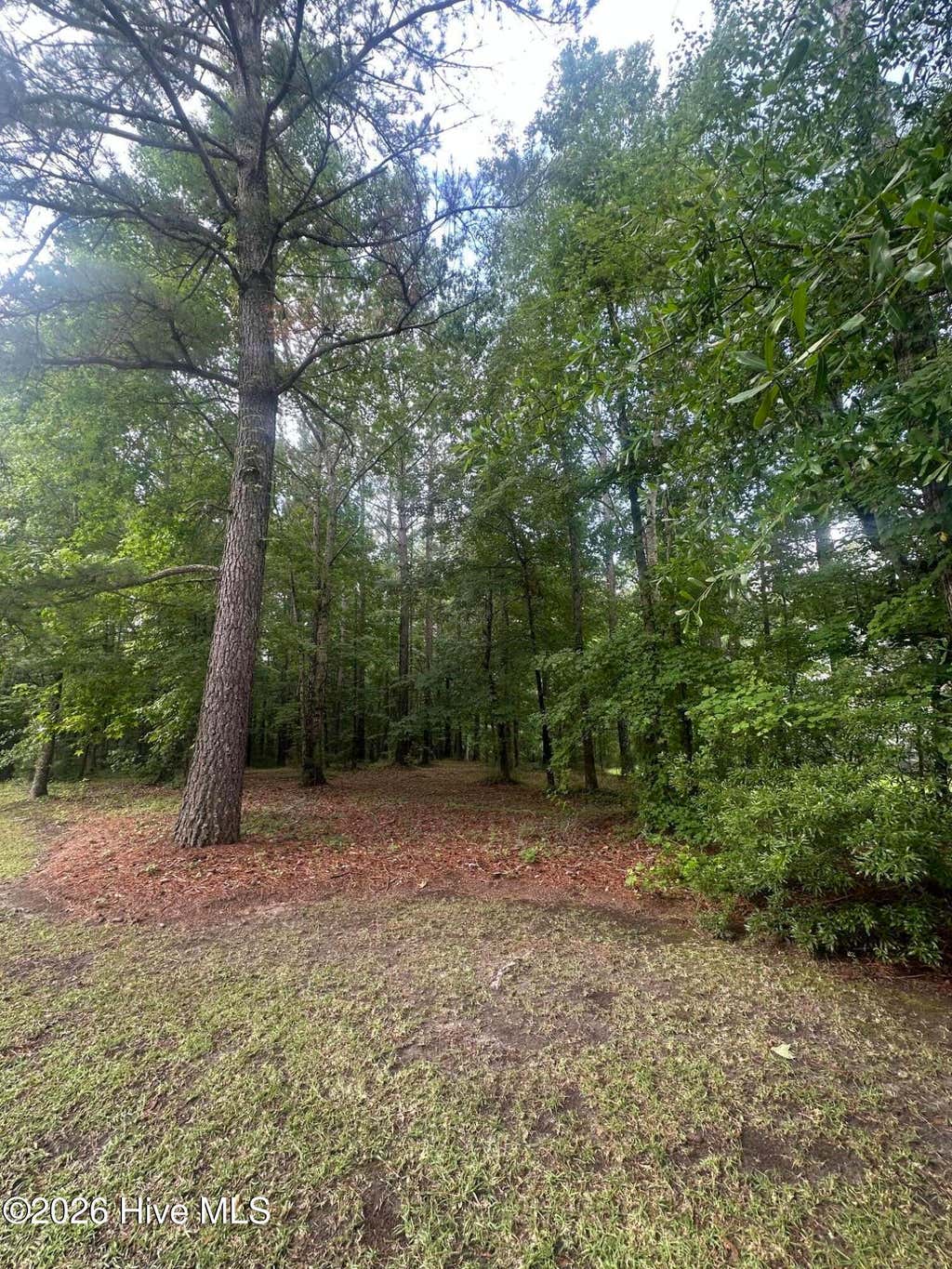 Photo of 3808 Leaf Court, New Bern, NC 28562 (MLS # 100582511)