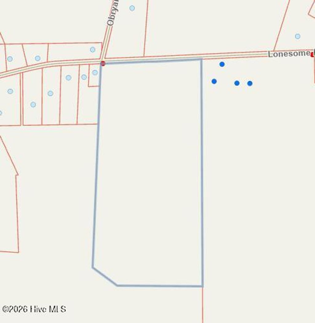 Photo of 2 Lonesome Pine Road, Whitakers, NC 27891 (MLS # 100568361)