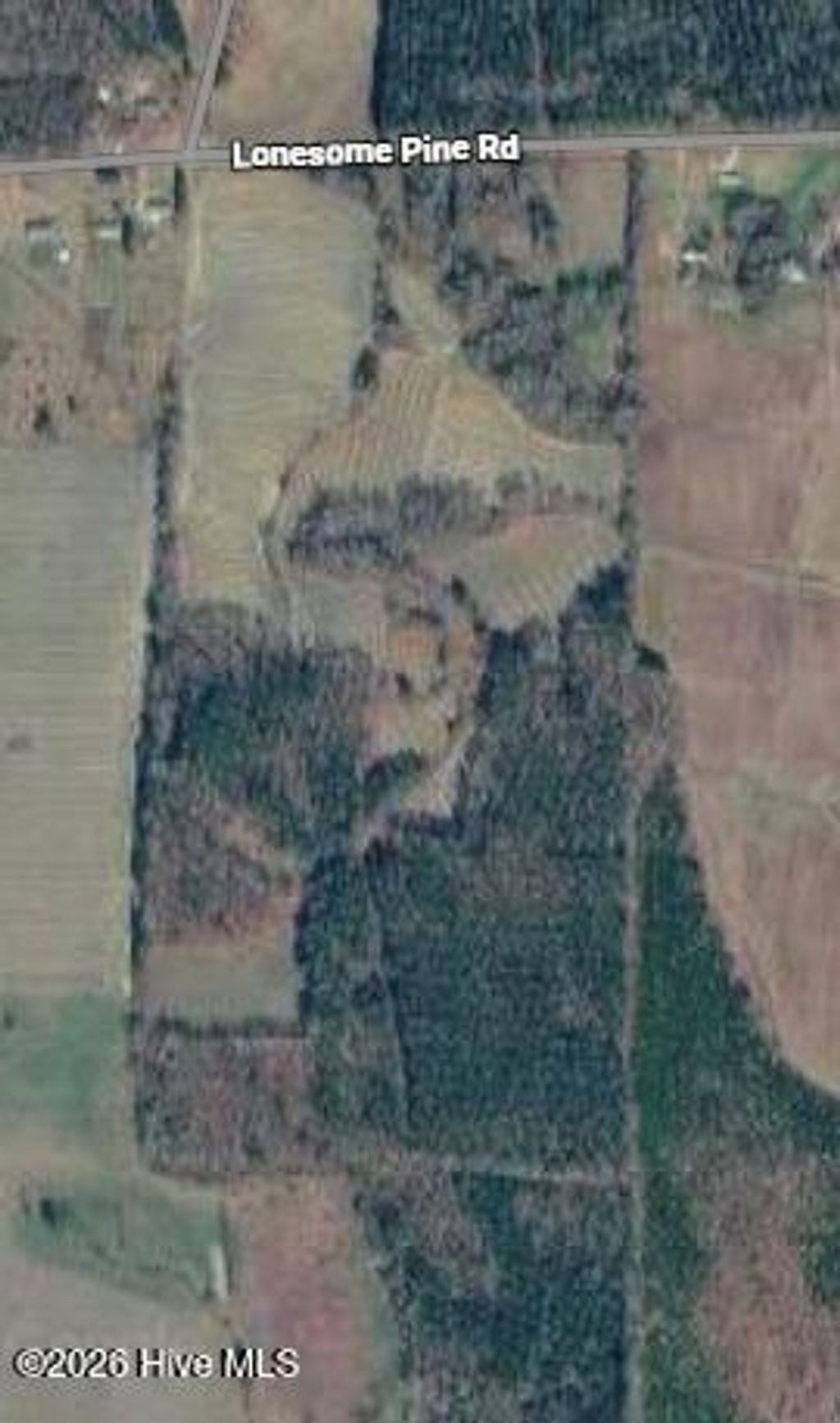 Photo of 2 Lonesome Pine Road, Whitakers, NC 27891 (MLS # 100568361)