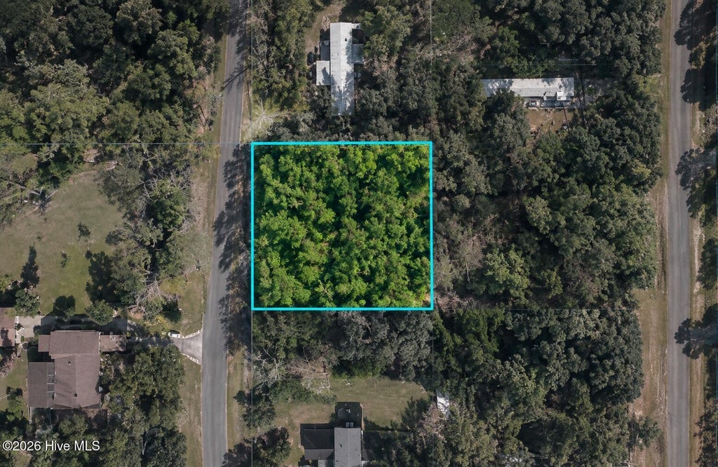 Photo of 2462 Barracuda Street SW, Supply, NC 28462 (MLS # 100608215)