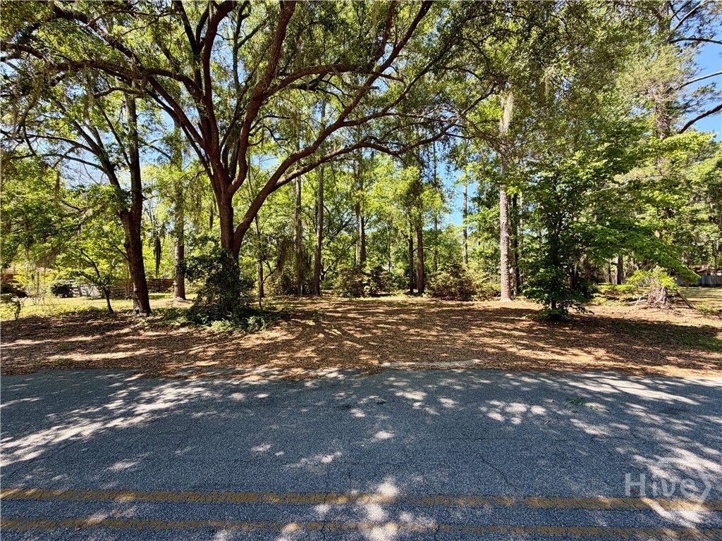 Photo of 811 Lakeview Court, Hinesville, GA 31313 (MLS # SA353423)