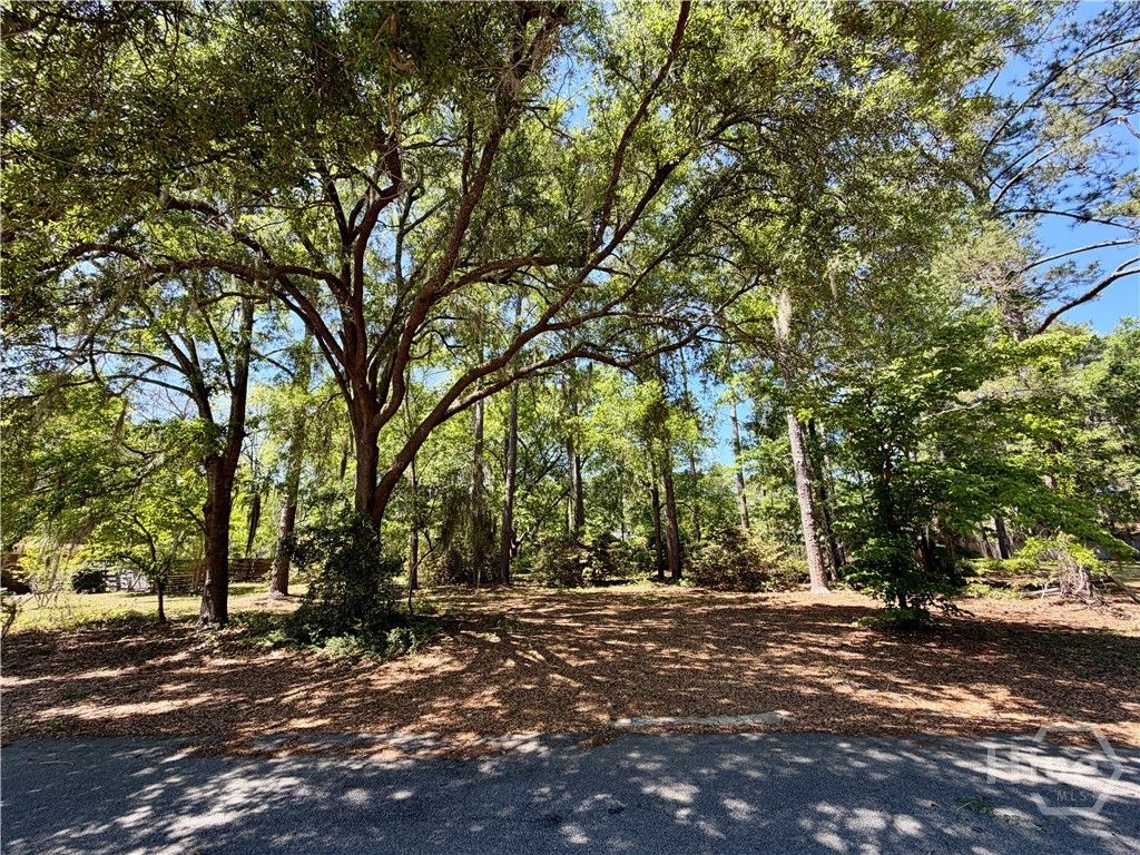 Photo of 811 Lakeview Court, Hinesville, GA 31313 (MLS # SA353423)