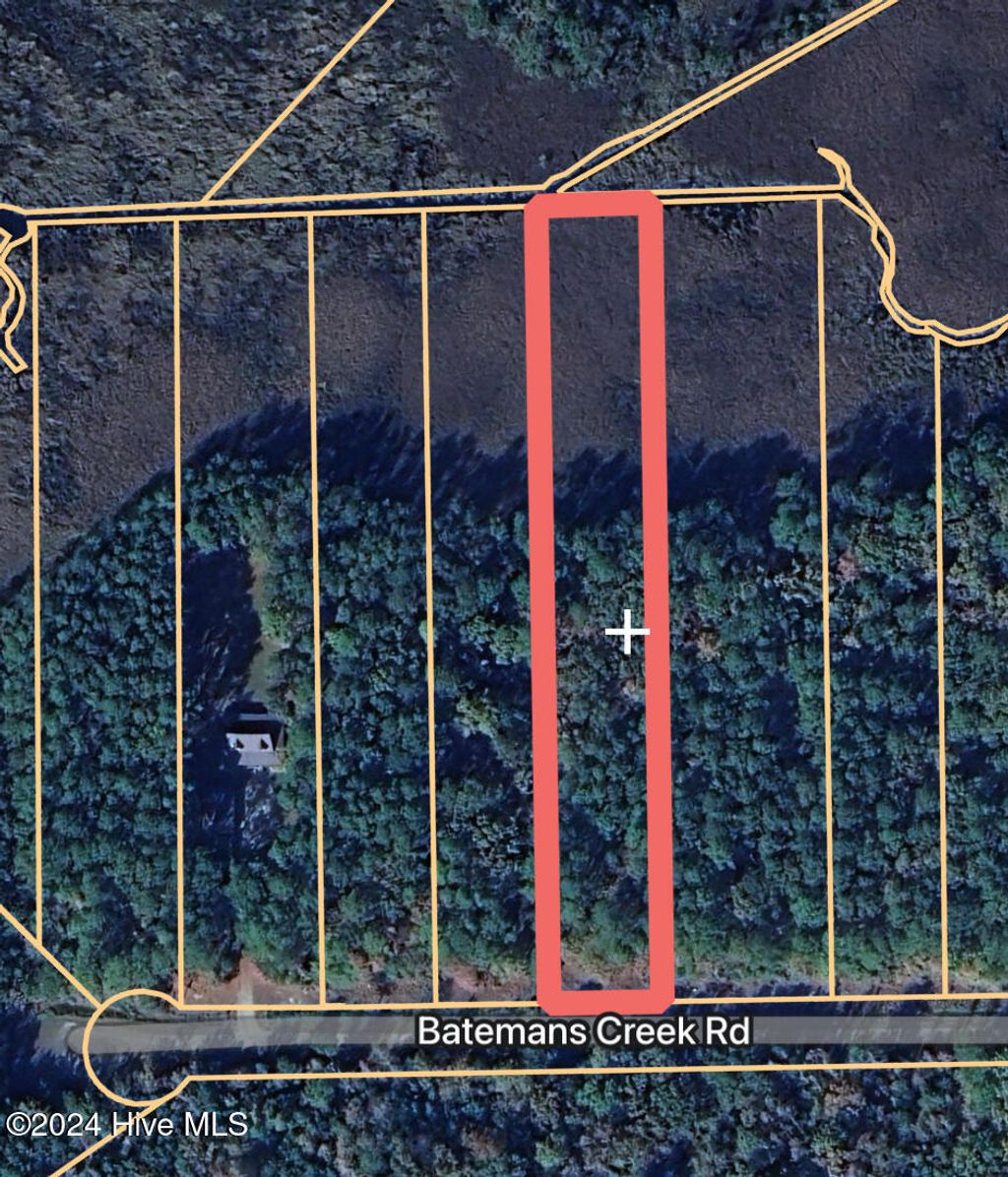 Photo of Tbd Batemans Creek Road, Belhaven, NC 27810 (MLS # 100477264)