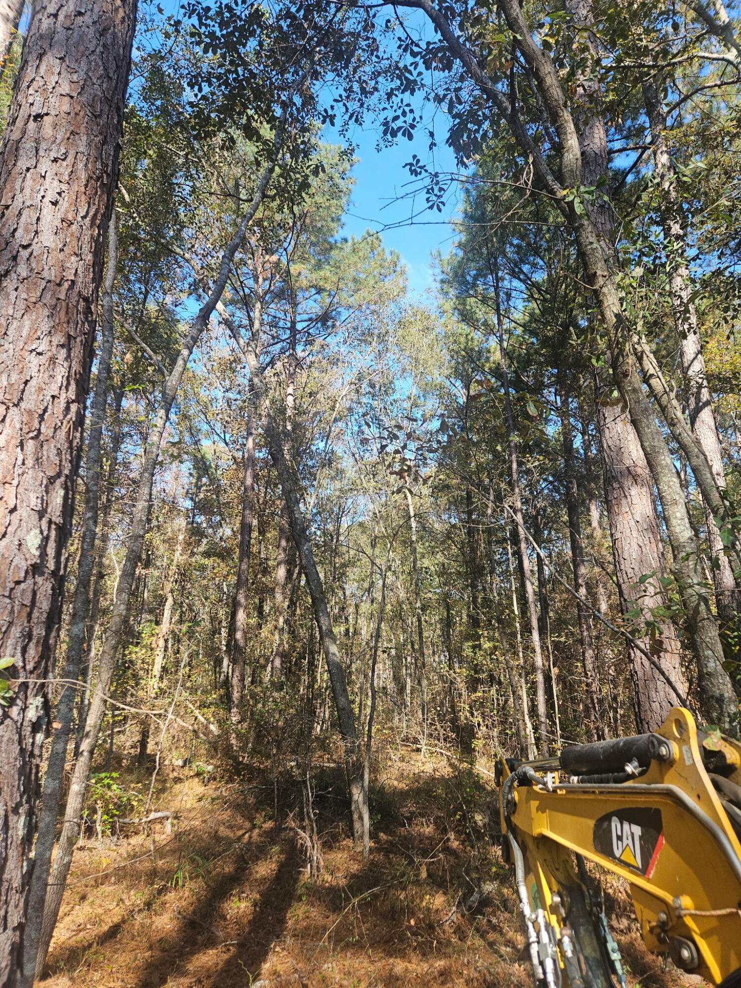 3979 Campground Road