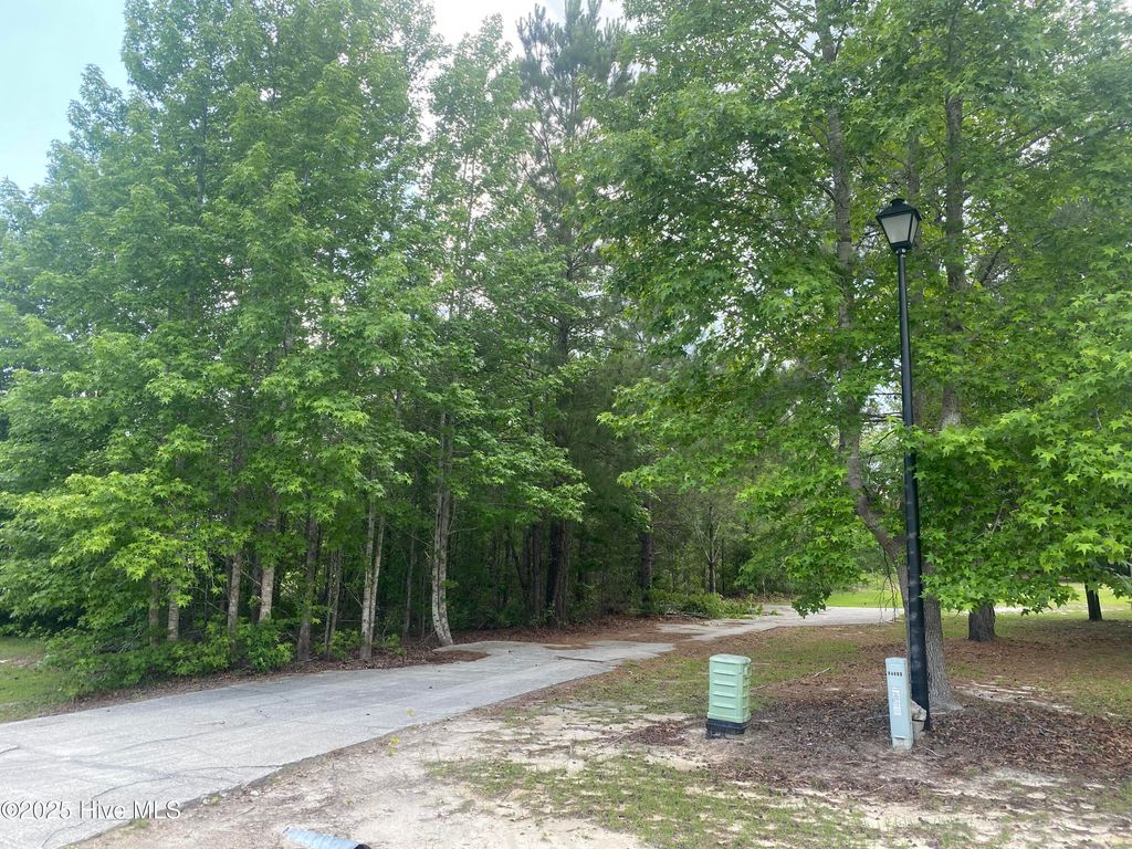 Photo of 4887 Grinders Way NE, Leland, NC 28451 (MLS # 100509299)