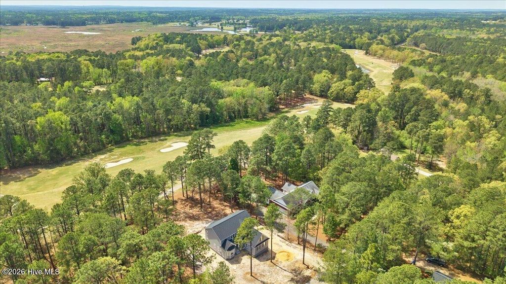 Photo of 451 Thimbleberry Drive, Vass, NC 28394 (MLS # 100560733)