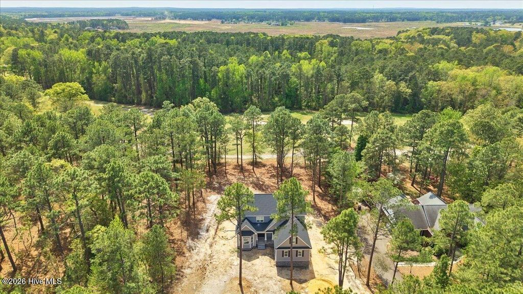 Photo of 451 Thimbleberry Drive, Vass, NC 28394 (MLS # 100560733)