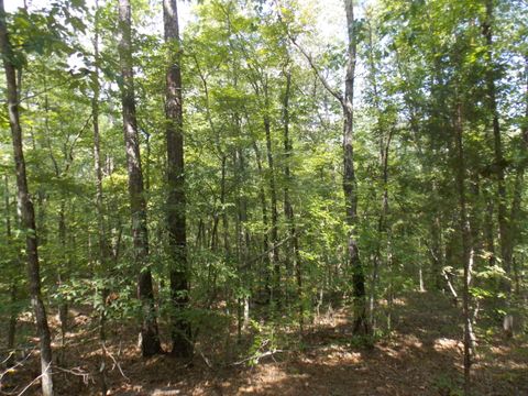 Vacant Land For Sale - 11 Doe Run<br/> Lincoln County, Lincolnton, GA 30817