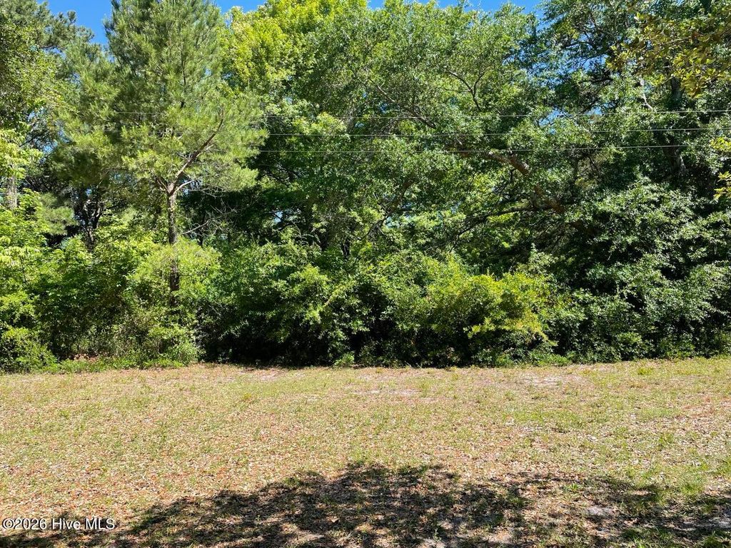 Photo of 104 Polly Lane, Newport, NC 28570 (MLS # 100575794)