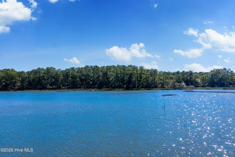Tiny photo for 1817 Harbour Edge Lane SW, Supply, NC 28462 (MLS # 100612710)