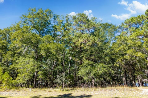 Tiny photo for 1817 Harbour Edge Lane SW, Supply, NC 28462 (MLS # 100612710)