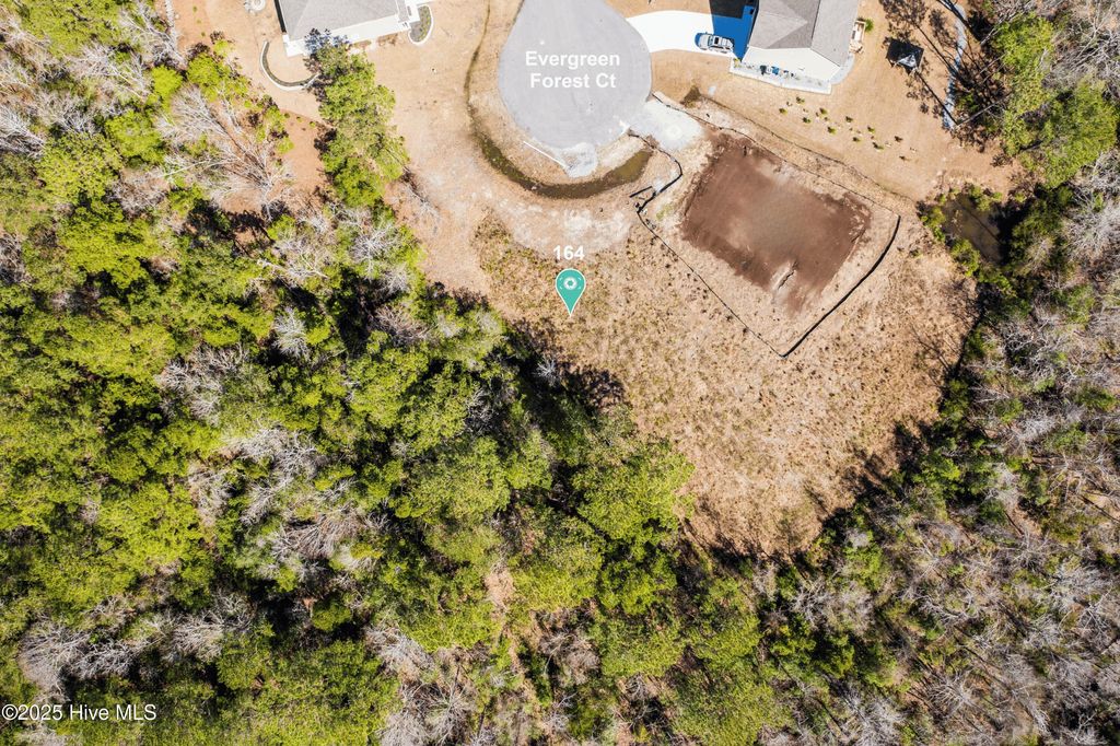 Photo of 164 Evergreen Forest Court, Sneads Ferry, NC 28460 (MLS # 100523712)