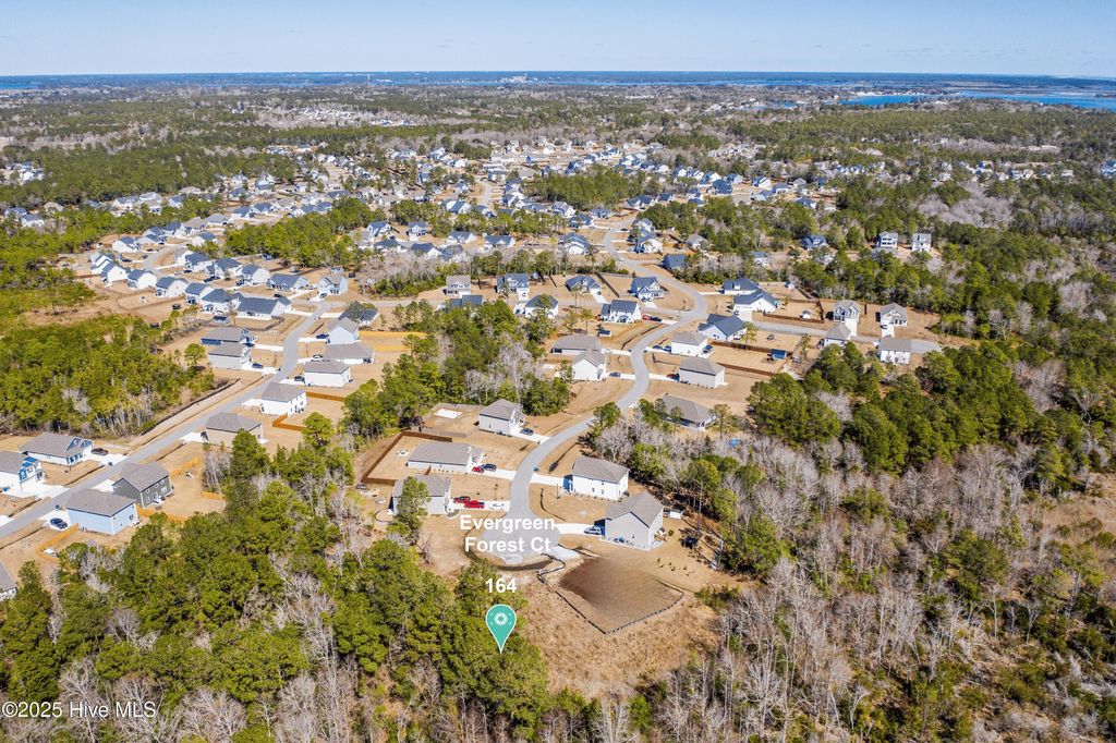 Photo of 164 Evergreen Forest Court, Sneads Ferry, NC 28460 (MLS # 100523712)