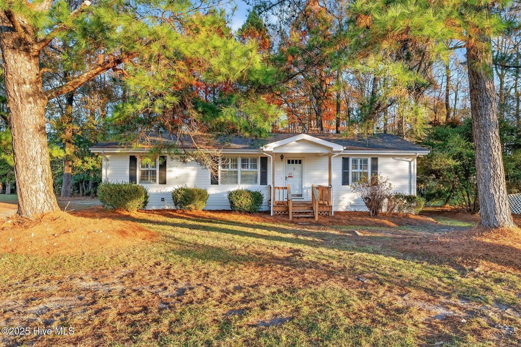 Photo of 4509 Stevens Chapel Road, Smithfield, NC 27577 (MLS # 100542234)