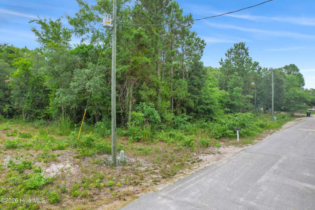 Photo of 1874 Silent Grove Avenue SW, Supply, NC 28462 (MLS # 100581972)