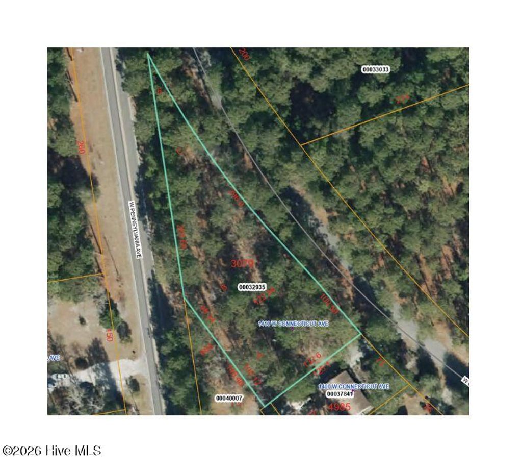 Photo of 1410 W Connecticutt Avenue, Southern Pines, NC 28387 (MLS # 100571070)