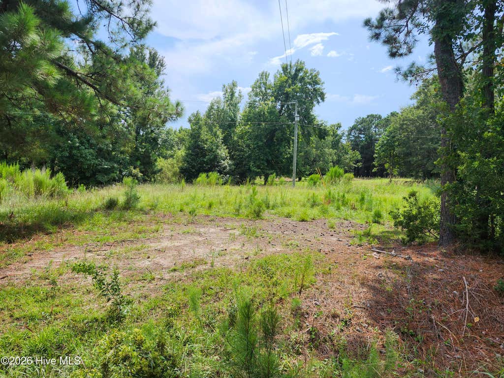 Photo of 306 Howards Landing Road, Hampstead, NC 28443 (MLS # 100598717)