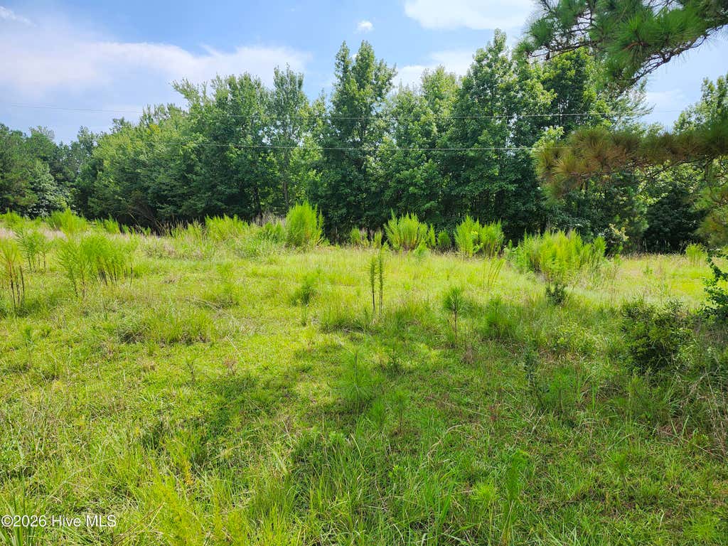 Photo of 306 Howards Landing Road, Hampstead, NC 28443 (MLS # 100598717)