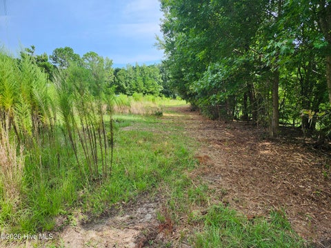 Tiny photo for 306 Howards Landing Road, Hampstead, NC 28443 (MLS # 100598717)