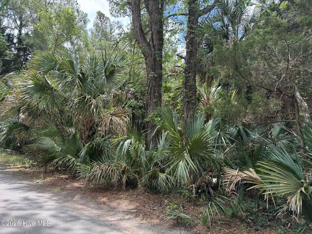 Photo of 8 Dowitcher Trail, Bald Head Island, NC 28461 (MLS # 100571804)