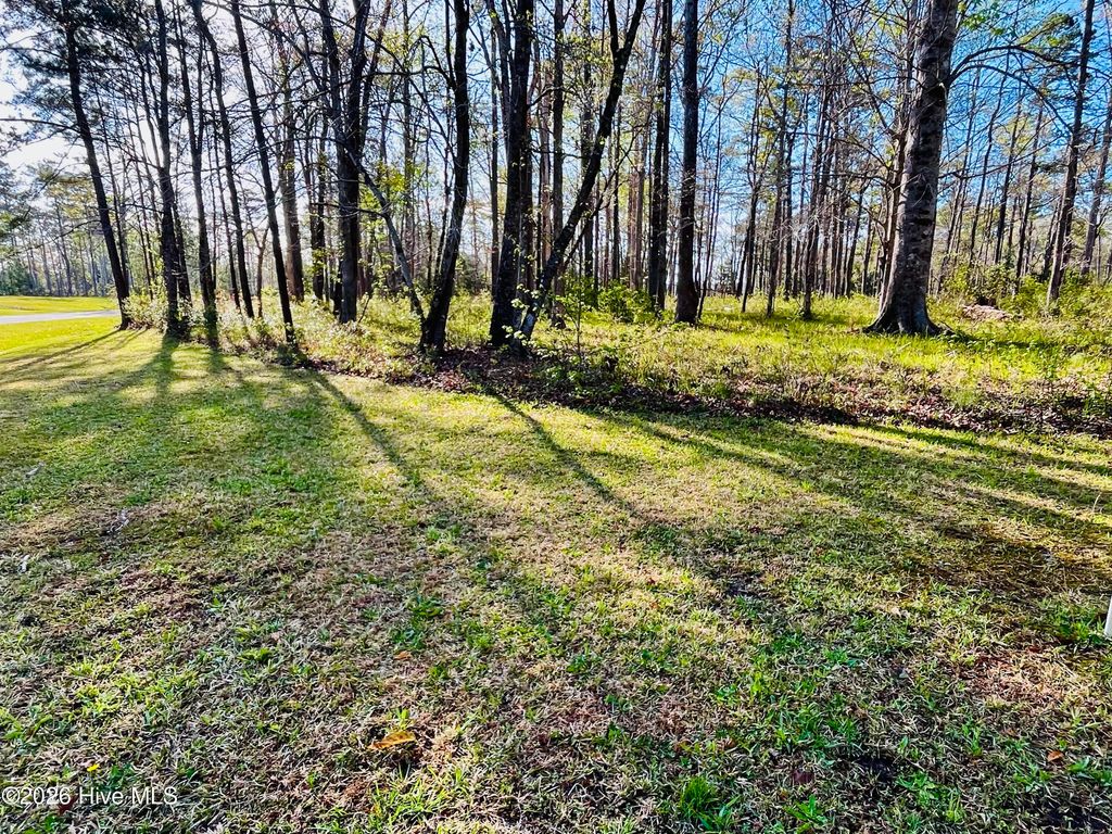 Photo of 256 Winding Creek Drive, Oriental, NC 28571 (MLS # 100564733)