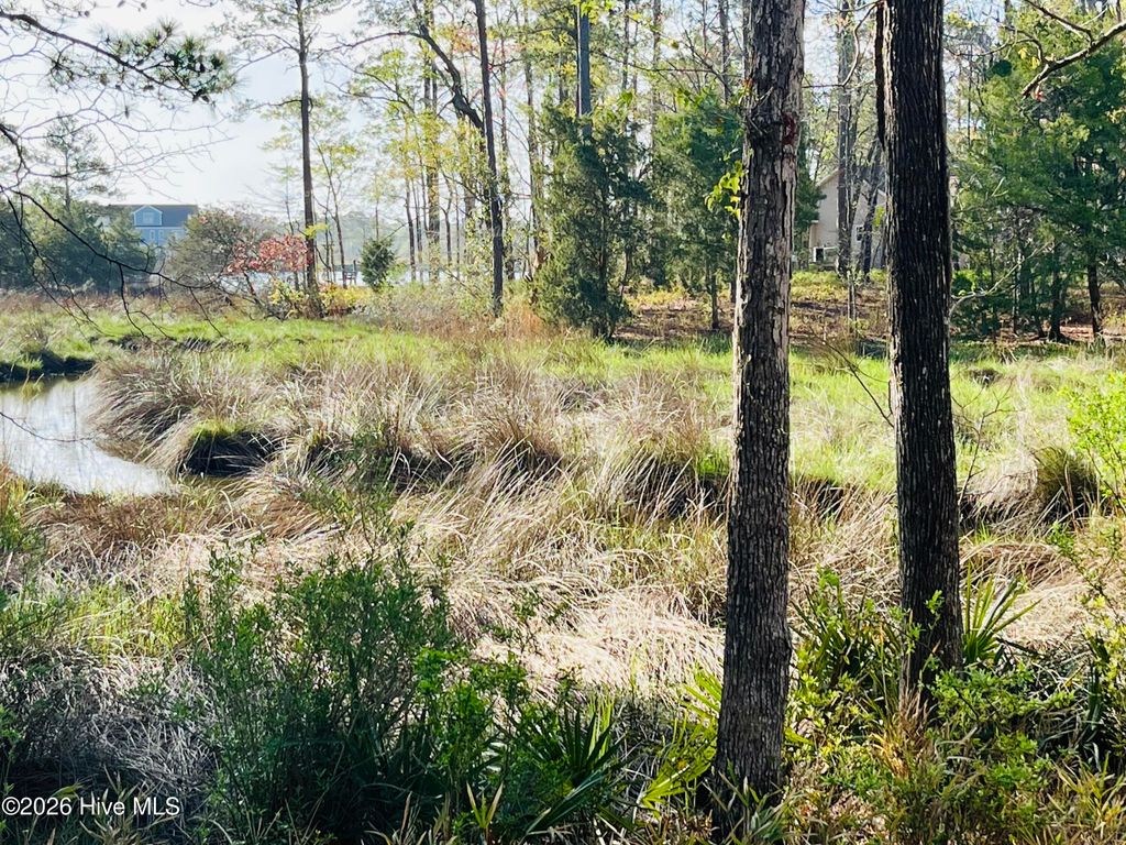 Photo of 256 Winding Creek Drive, Oriental, NC 28571 (MLS # 100564733)