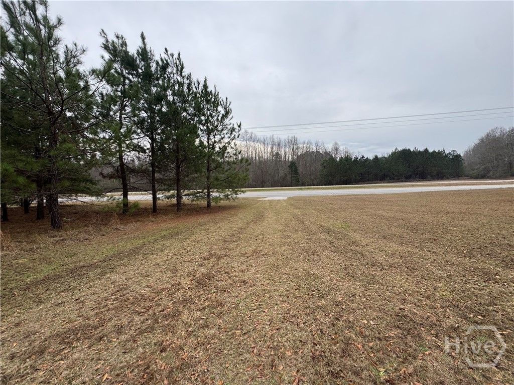 Photo of 3794 Millen Highway, Sylvania, GA 30467 (MLS # SA346912)