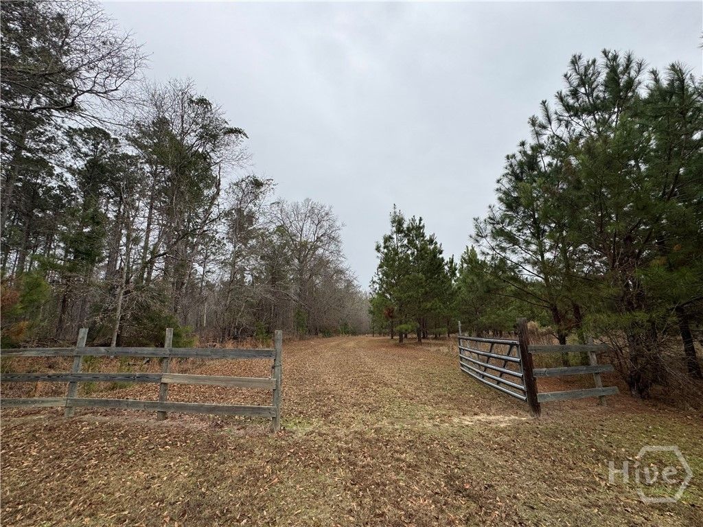 Photo of 3794 Millen Highway, Sylvania, GA 30467 (MLS # SA346912)