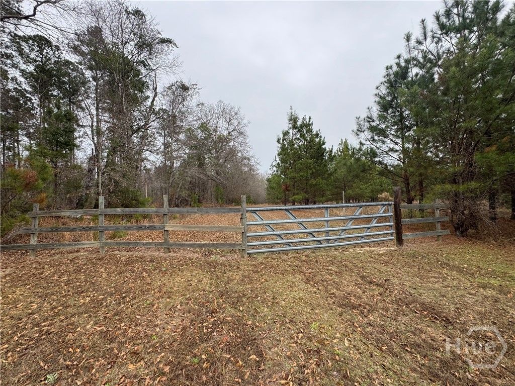 Photo of 3794 Millen Highway, Sylvania, GA 30467 (MLS # SA346912)