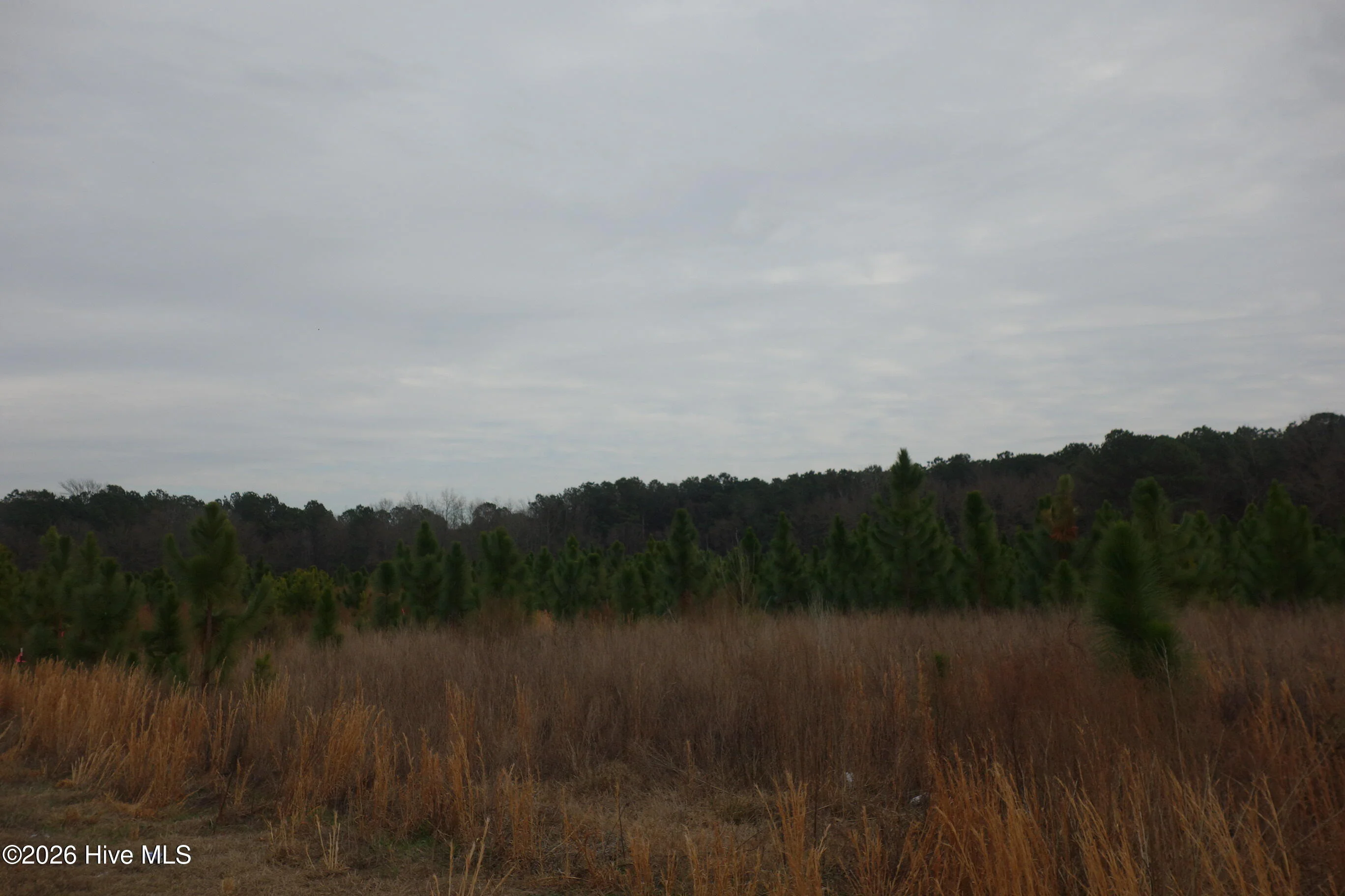 Lot 29 Stuarts Mill Road