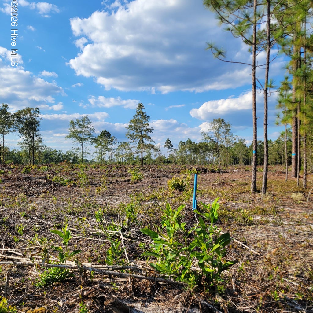 Photo of Lot 0 Moores Swamp Road, Ivanhoe, NC 28447 (MLS # 100608387)