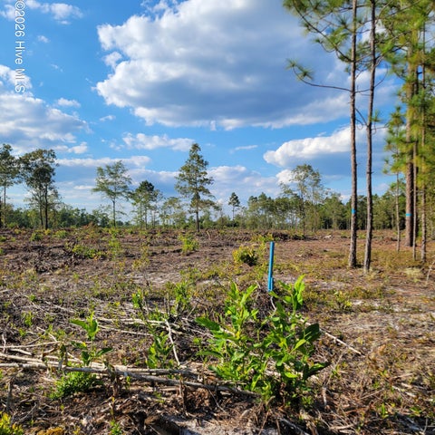 Vacant Land For Sale - LOT 0 Moores Swamp Road<br/> Ivanhoe, NC 28447