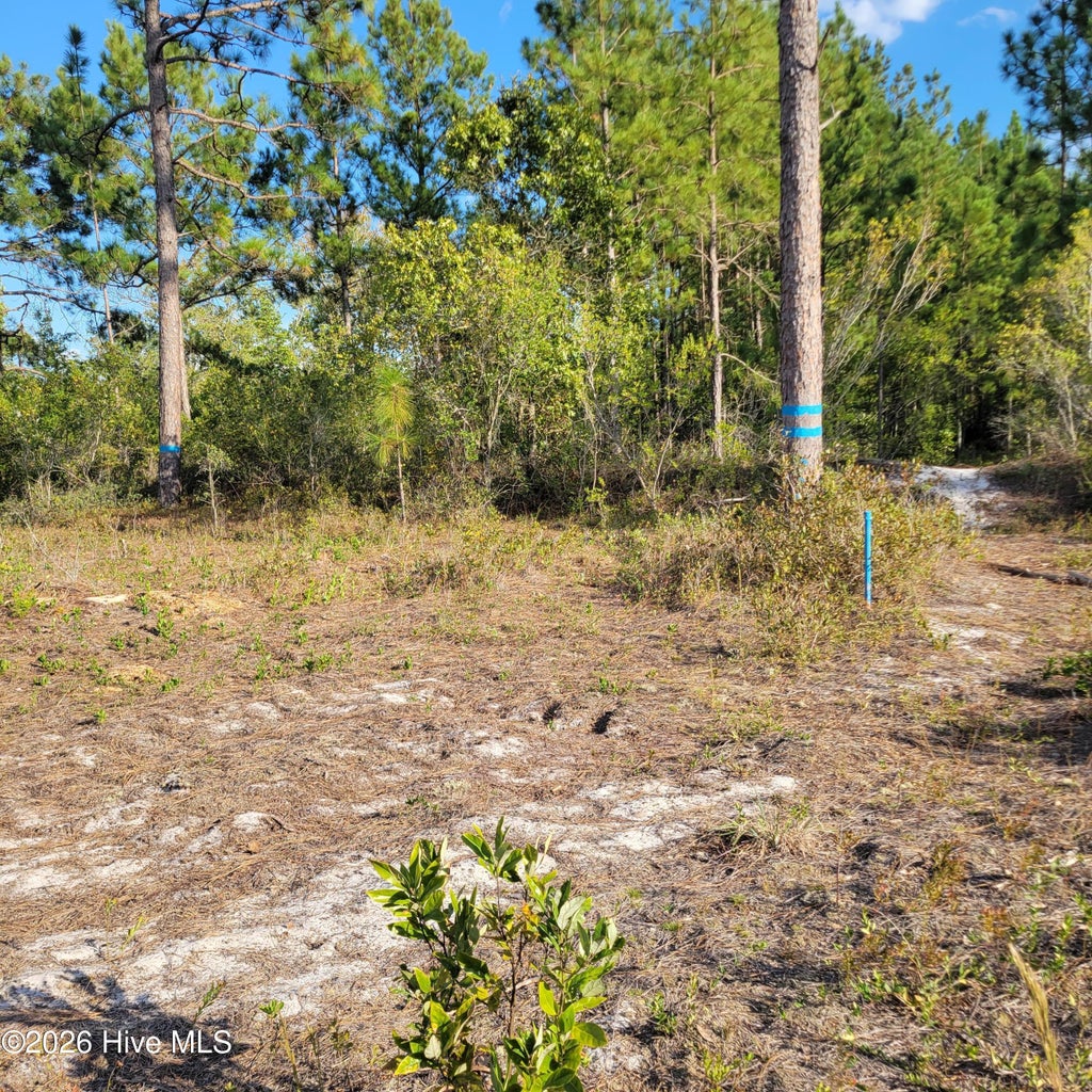 Photo of Lot 0 Moores Swamp Road, Ivanhoe, NC 28447 (MLS # 100608387)