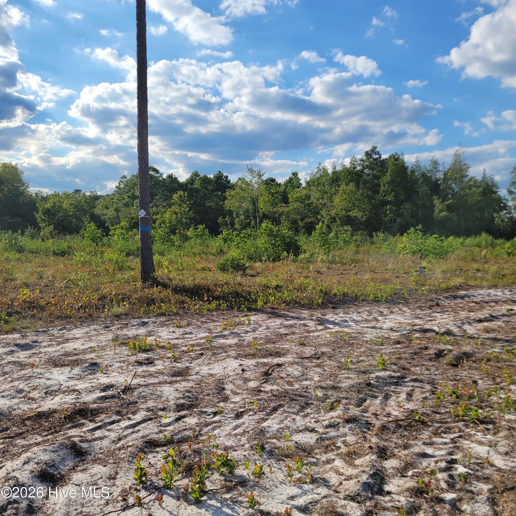 Photo of Lot 0 Moores Swamp Road, Ivanhoe, NC 28447 (MLS # 100608387)
